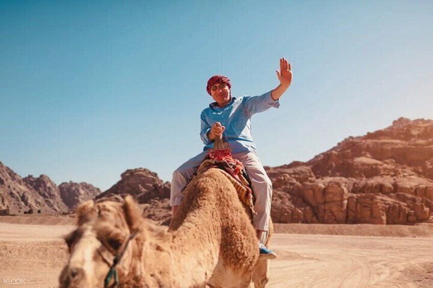 Private Guided Day Tour to Cairo from sharm el sheikh by flight (special day)