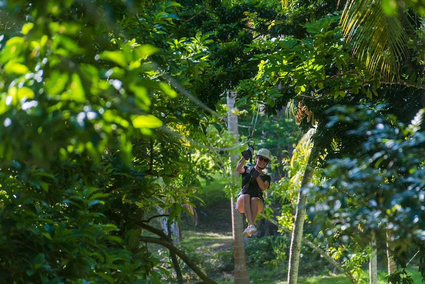 Zipline Canopy Adventure in Montego Bay