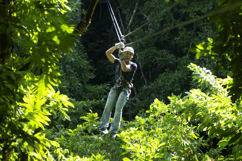 Zipline Canopy Adventure in Montego Bay