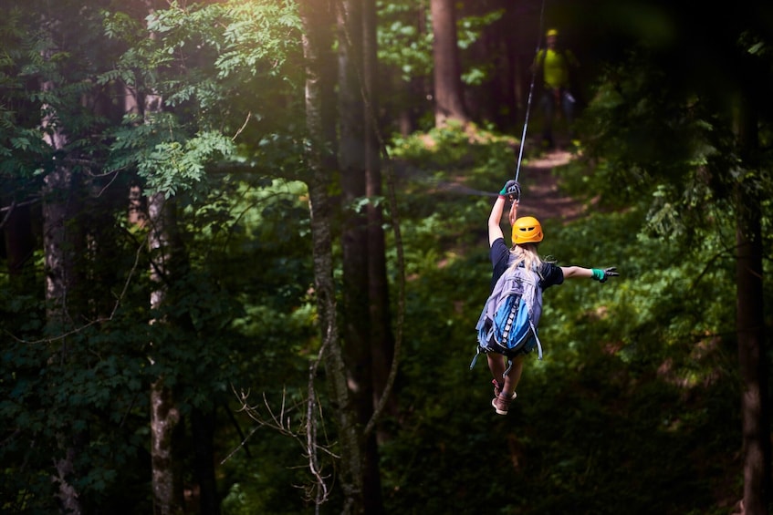 Zipline Canopy Adventure in Montego Bay