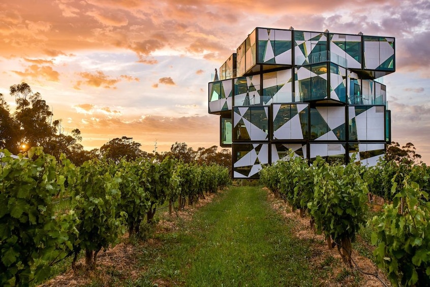 d'Arengberg Cube / McLaren Vale Tour