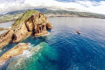 Private Marine Wildlife Boat Tour