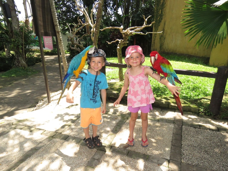 Bali Bird Park