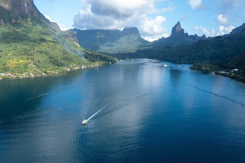 Discover Moorea, its wildlife and its culture, on land and at sea!
