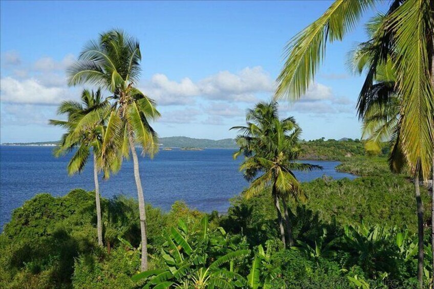 Explore Mamoudzou & the National Wetland Reserve 3 Days/2 Nights