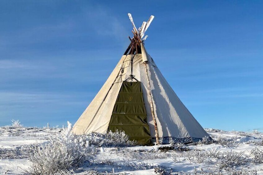 Full-Day Reindeer Tour with Pickup in Kiruna