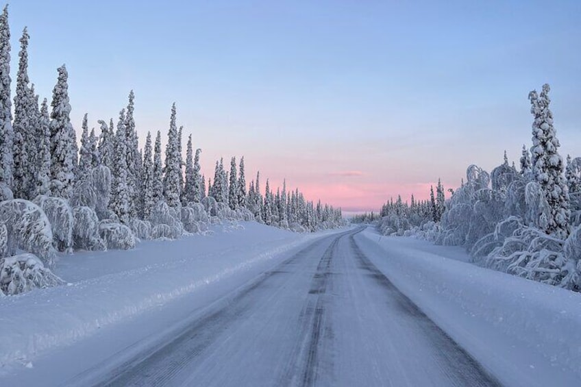 Full-Day Reindeer Tour with Pickup in Kiruna