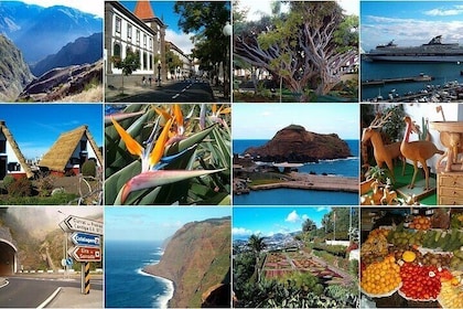 Retur til Madeira om 2 dage