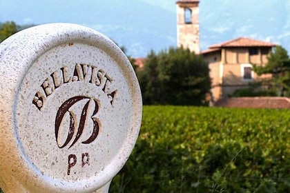 Wine Tour in Franciacorta from Milan