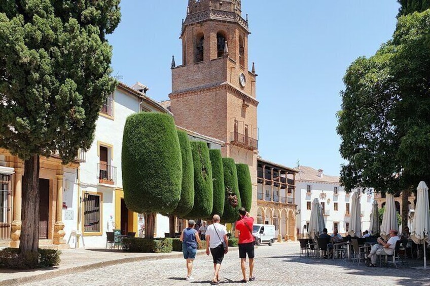 Ronda, the dreamt city - Private Tour