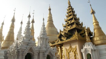 Private Full-Day City Tour with Lunch