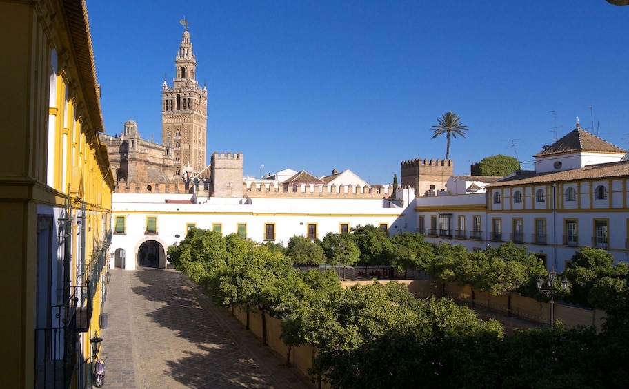 Seville Alcazar Private Tour