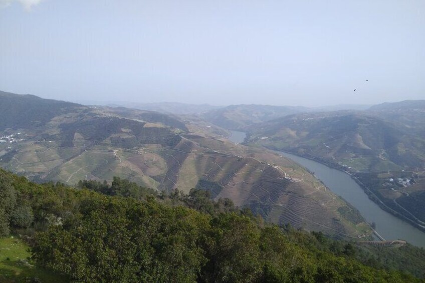 Port Wine & Sweet Johnsons - Amazing Douro Valley - from Porto