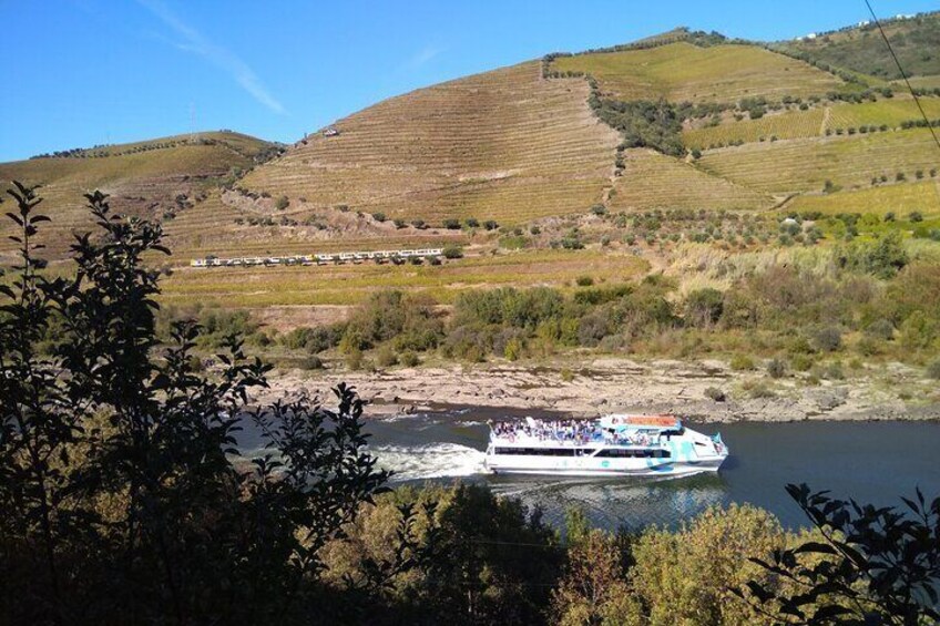 Port Wine & Sweet Johnsons - Amazing Douro Valley - from Porto