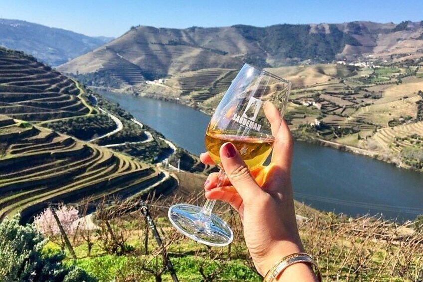 Port Wine & Sweet Johnsons - Amazing Douro Valley - from Porto