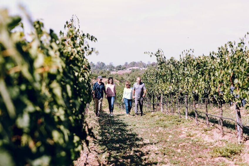 Double date in the vineyards