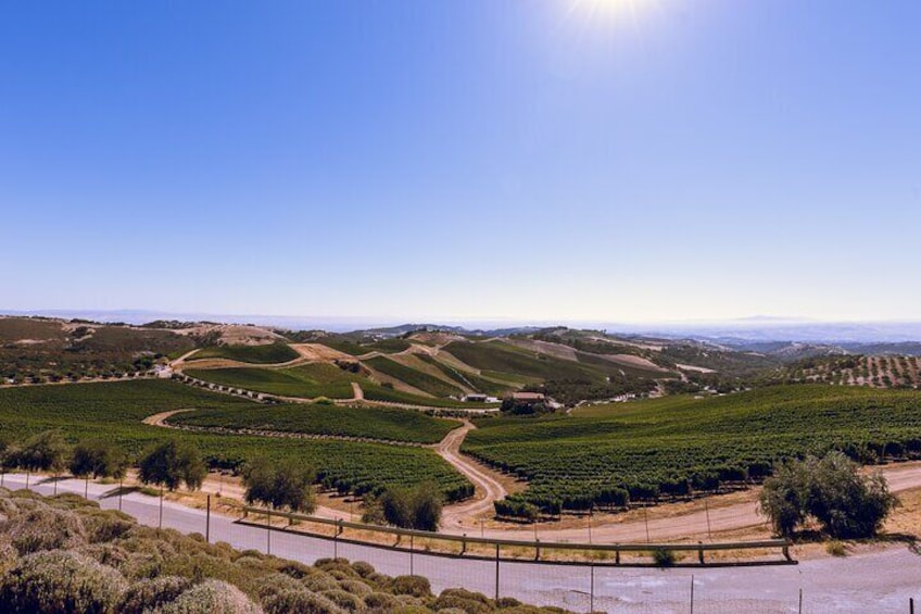 Enjoy breathtaking views of Paso Robles