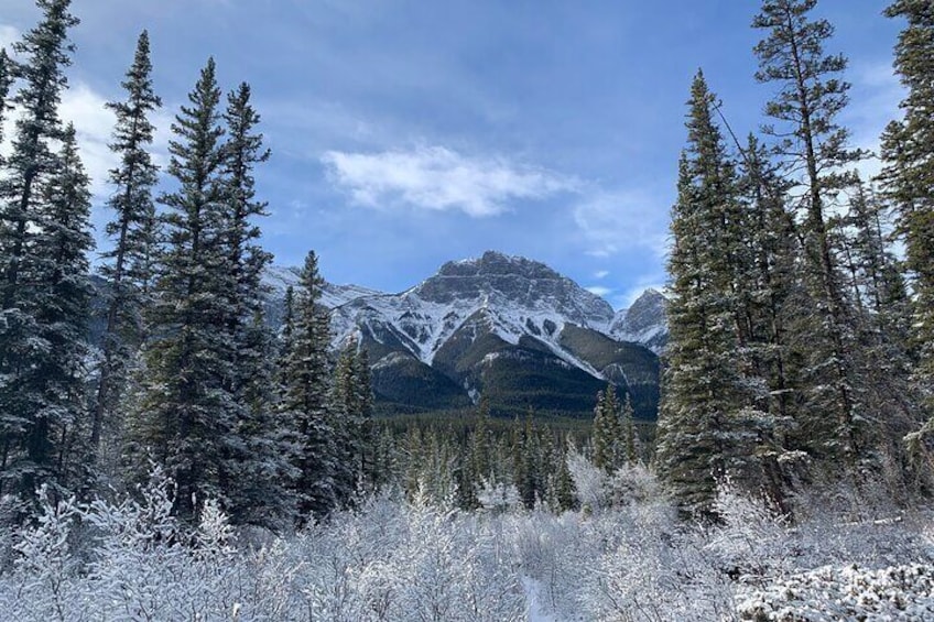 Hidden Valley - Mountain Hiking Tour