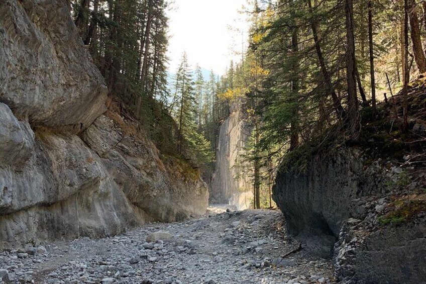 Canyon & Cave Painting Ice Walk - 3hr / Ice Cleats & Poles Included