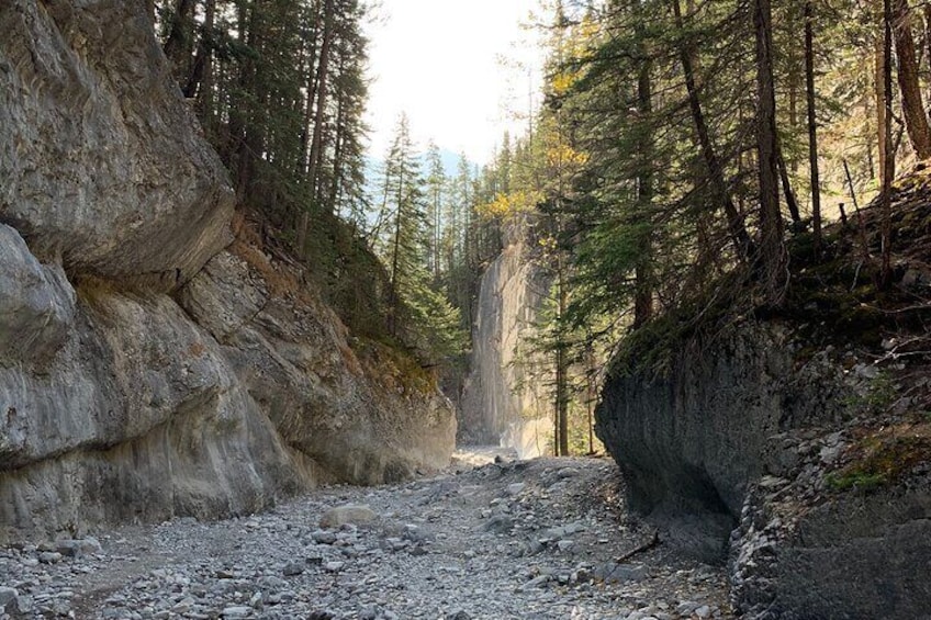 Canyon & Cave Painting Ice Walk - 3hr / Ice Cleats & Poles Included