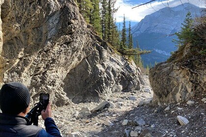 Canmore: recorrido a pie por cañones y pinturas rupestres - 2,5 horas