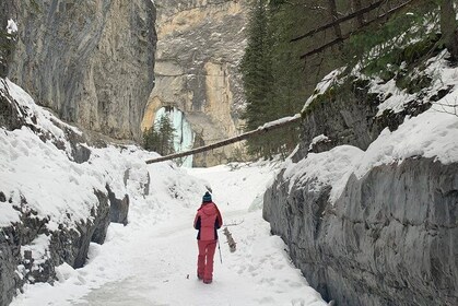 Canyon & Cave Painting Ice Walk - 3hr / Ice Cleats & Poles Included