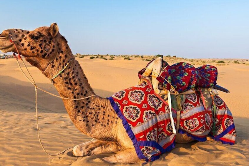 Full Day Private Sightseeing Tour of Jaisalmer