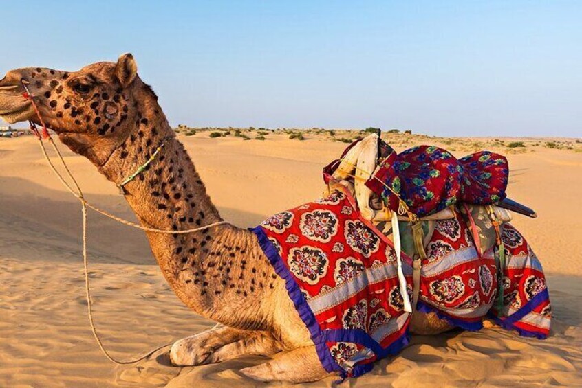 Full Day Private Sightseeing Tour of Jaisalmer