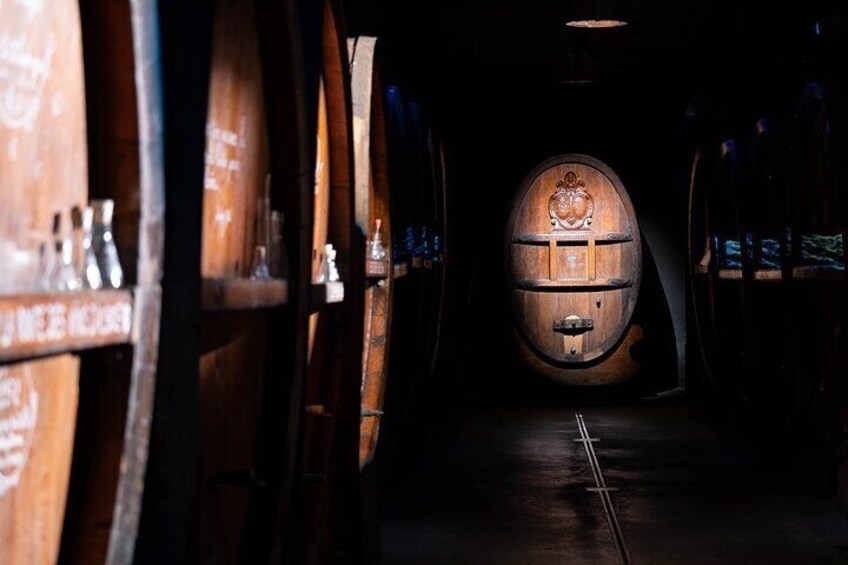 Cellar Visit, Tasting of 5 Wines & a Local Tourte to Strasbourg