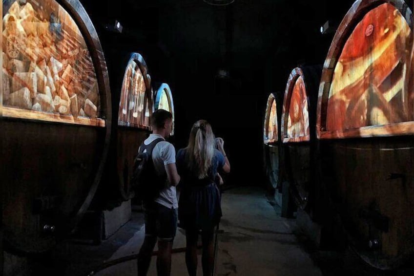 Cellar visit with Tasting of 5 Alsatian and Kougelhopf wines to Strasbourg