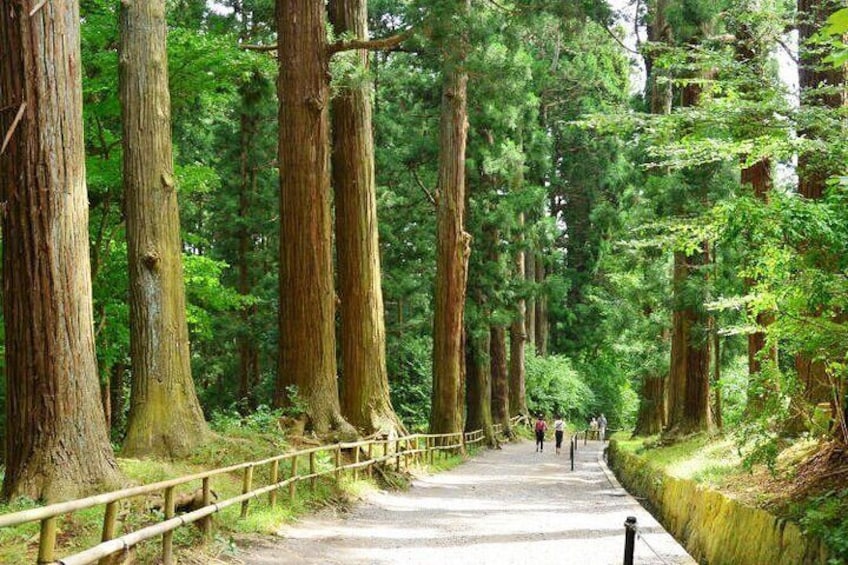 Hiraizumi Half-Day Private Trip with Nationally-Licensed Guide