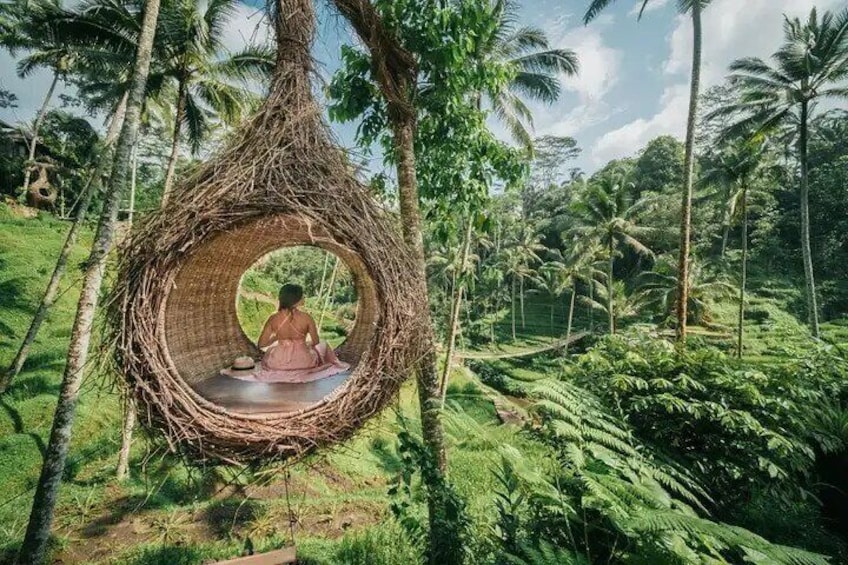 Best of Ubud with Tanah Lot Temple Private Tour