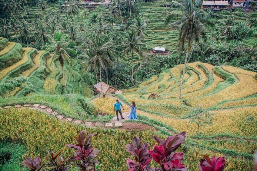 Best of Ubud with Tanah Lot Temple Private Tour