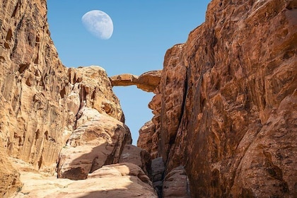 2-Night Private Tour: Madaba,Mount Nebo,Dana Biosphere,Petra,Wadi Rum & Dea...