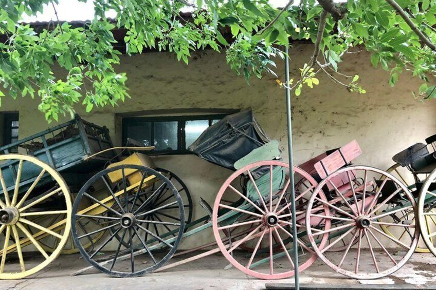 Private Tour: Gaucho Ranch in San Antonio de Areco from Buenos Aires