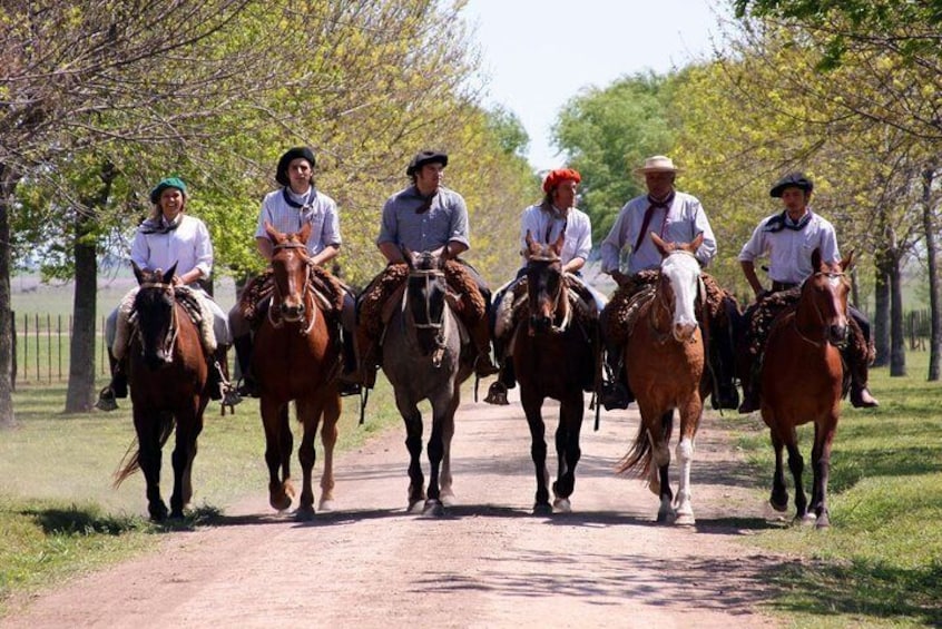 Gaucho Ranch in San Antonio de Areco
