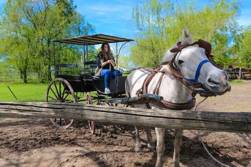 Gaucho Ranch in San Antonio de Areco