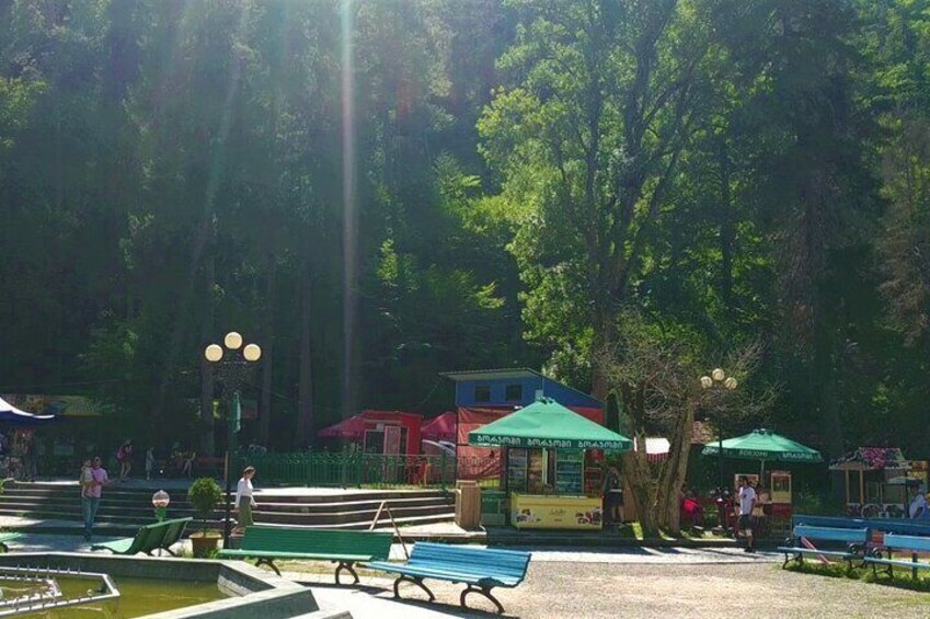 8 Days/7 Nights Tbilisi-Borjomi-Kutaisi Tour Package in Georgia
