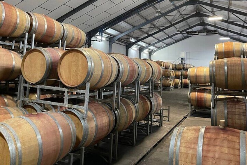 Cape Town - Stellenbosch Wine Tour (Top 5 Wineries) Private Tour Guide