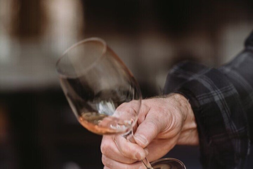Cape Town Private Tour Guide - Wine Tour in Stellenbosch, Franschhoek and Paarl