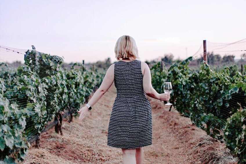 Stellenbosch Wine Tour From Cape Town (Top 5 Wineries) - Private Tour Guide