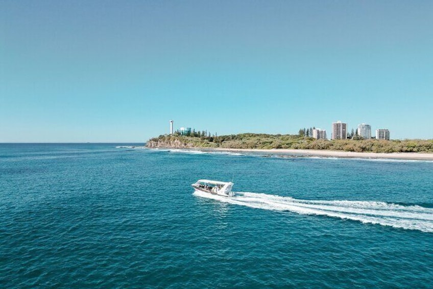 Adventure Whale Watching Tour Mooloolaba