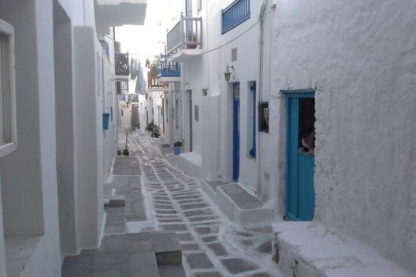 Small-Group Half-Day Tour in Mykonos