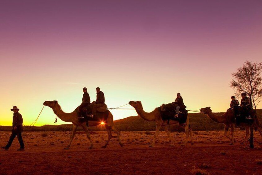 Ride at sunset to see the colours change against the outback 