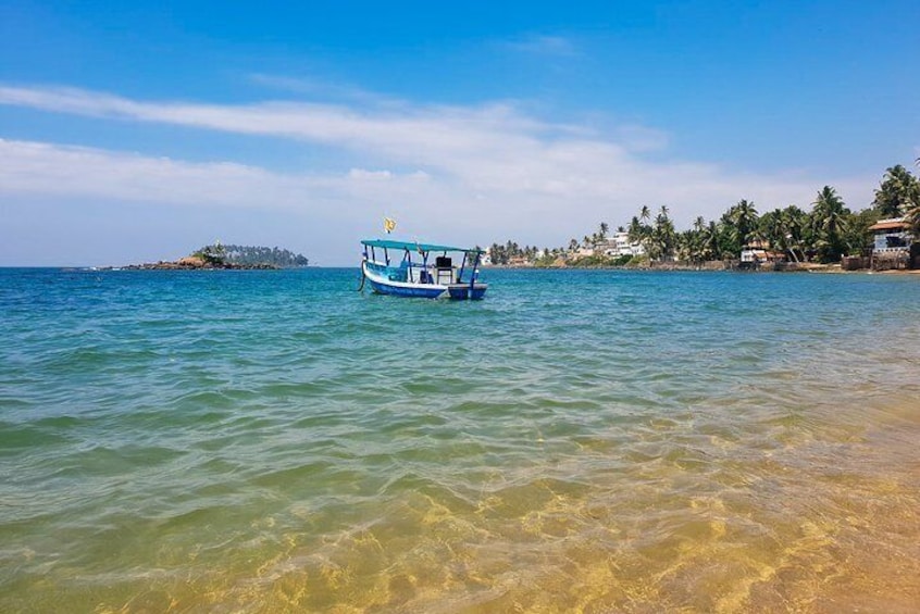 Whale Watching Boat Tour from Beruwala