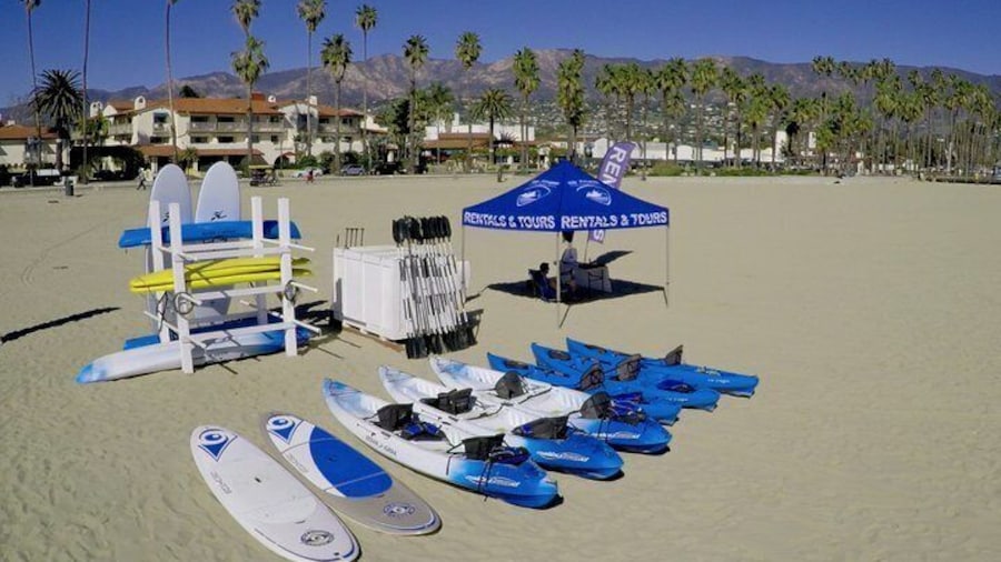 Kayak or Stand Up Paddle Board Rental