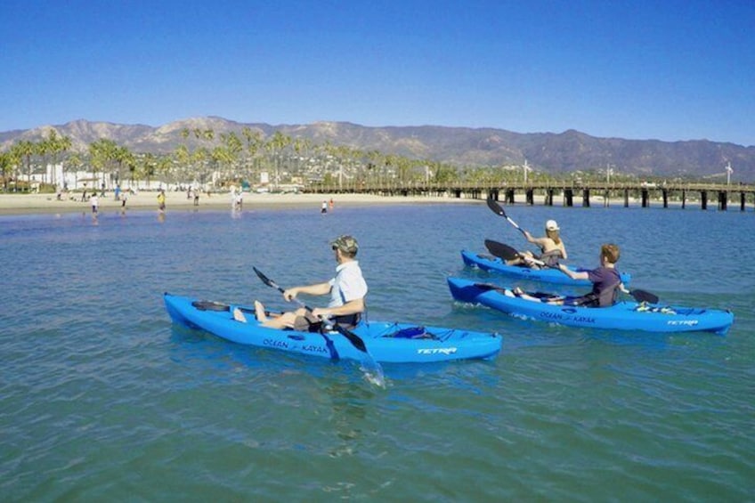 Kayak or Stand Up Paddle Board Rental