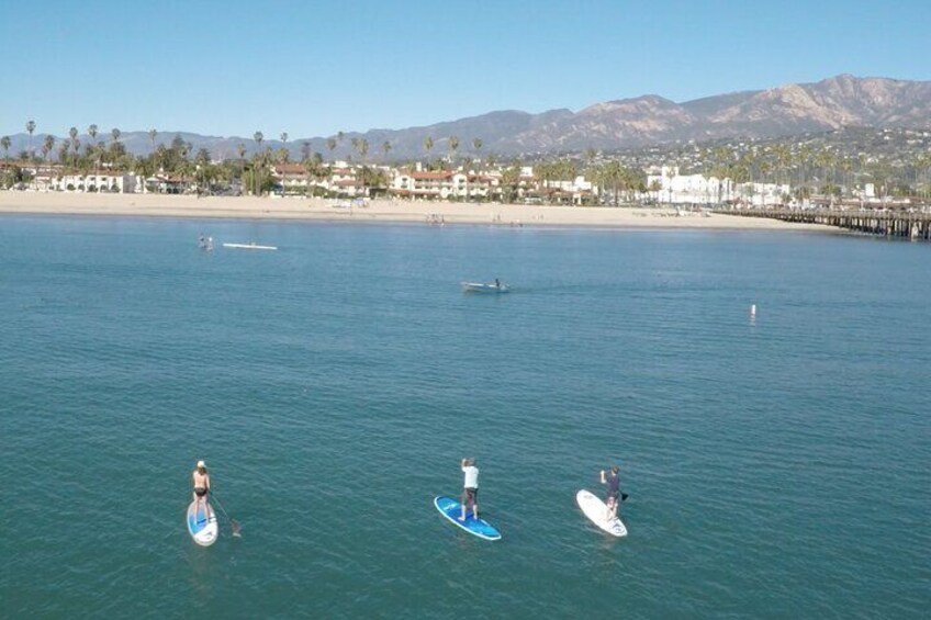 Kayak or Stand Up Paddle Board Rental