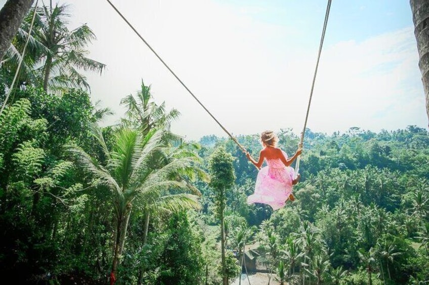 Bali Highlights : Nature, Waterfall, Rice Terraces and Volcano