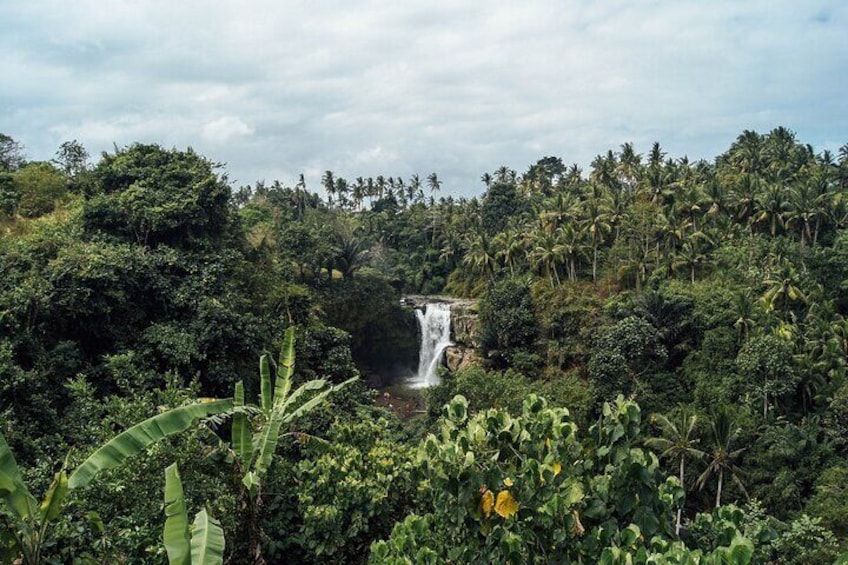 Bali Highlights : Nature, Waterfall, Rice Terraces and Volcano